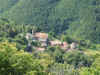 Compione soffocato dal verde.JPG (1108545 byte)